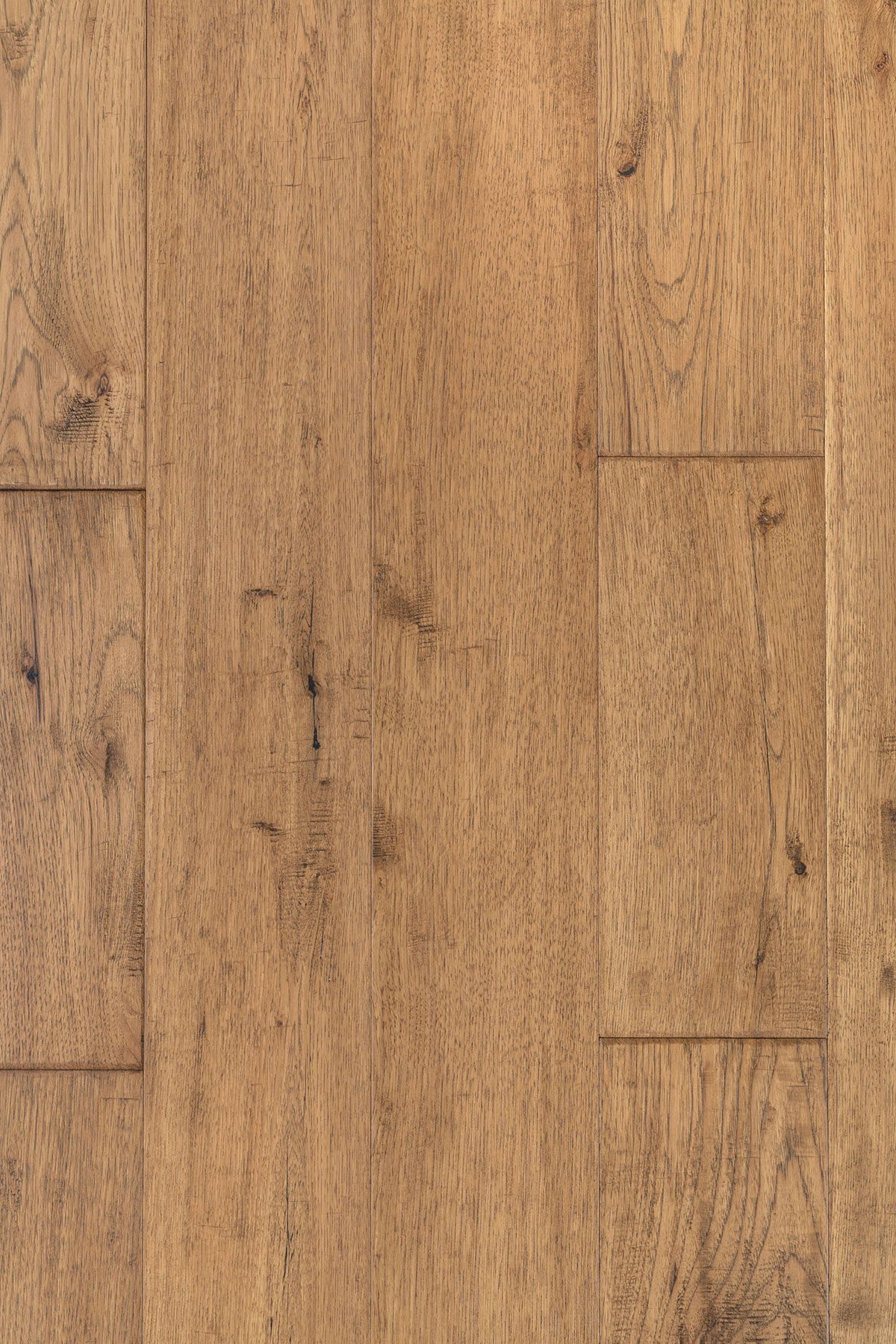 Hic Panel CI-HIC-RA6 – Tesoro Woods